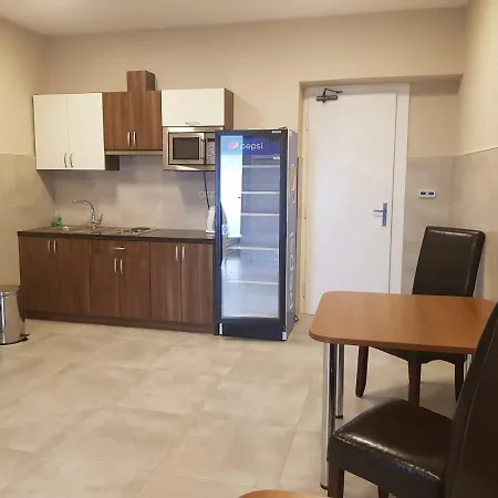 Πανσιόν Hudebka Louny